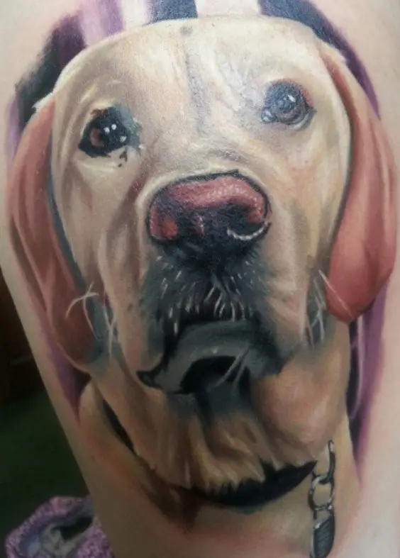 17 Very Beautiful Labrador Tattoos PetTime