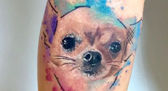 17 Very Gorgeous Chihuahua Tattoos - Page 2 of 6 - PetTime