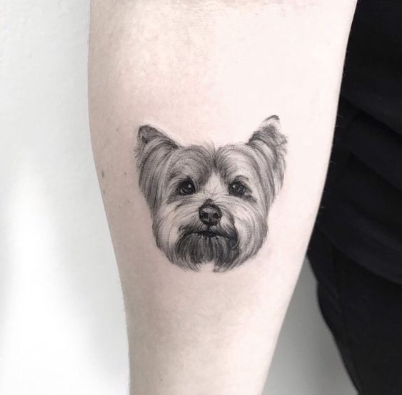 17 Cool Yorkshire Terrier Tattoos Page 3 of 6 PetTime