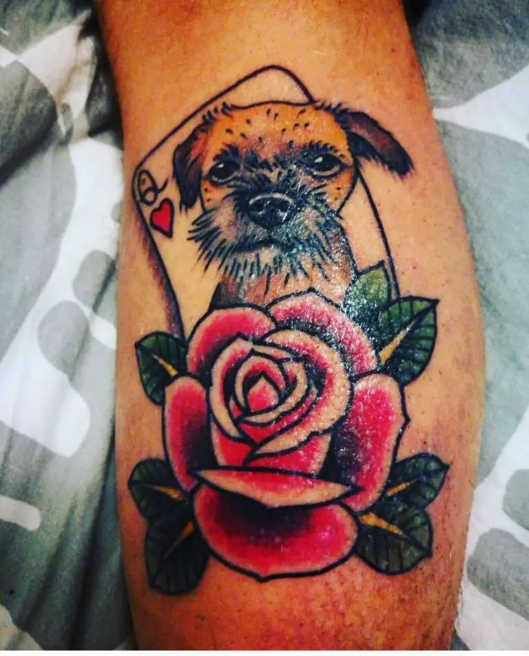 17-gorgeous-border-terrier-tattoos-pettime