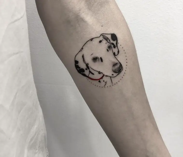 17 Dalmatian Tattoos Page 5 of 6 PetTime