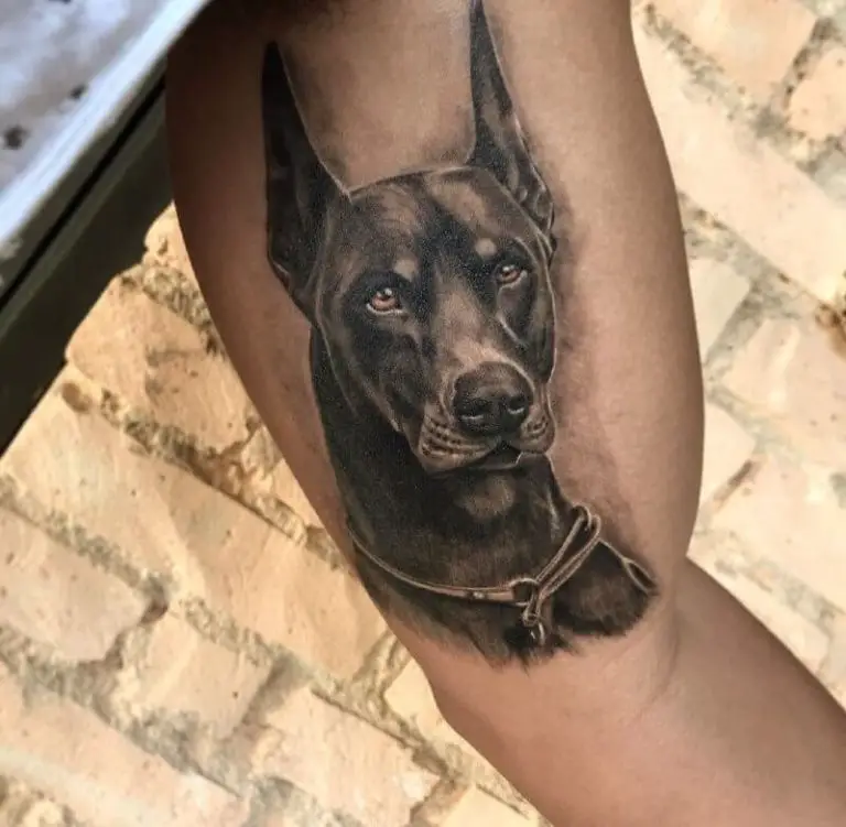 17 Cool Doberman Pinscher Tattoos PetTime