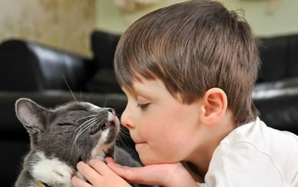 Cat Therapy is Good for Your Health - PetTime