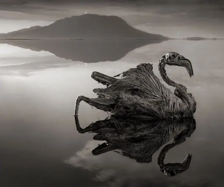 what makes lake natron dangerous