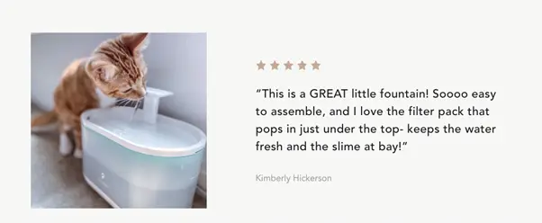 Review of a cat fountain