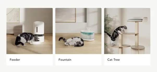 Three pictures of a cat, one with a feeder, one with a fountain, and one in a cat tree