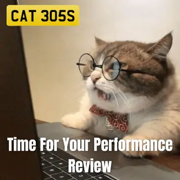 A picture of a cat with glasses looking at a computer with the caption "time for your performance review"