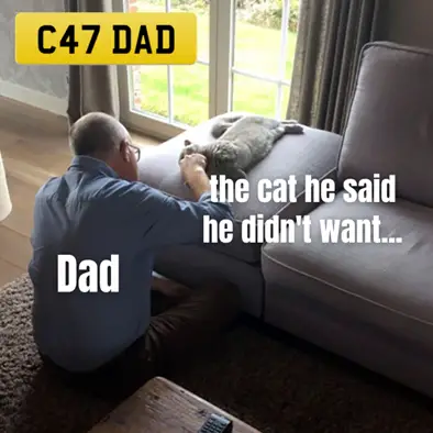A man playing with a cat on the couch. The caption reads 'Dad with the cat he said he didn't want...'