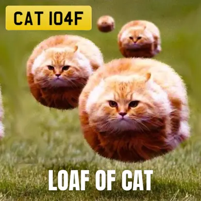 Several cats are in a field. The cats are shaped like spheres and are hovering over the ground.