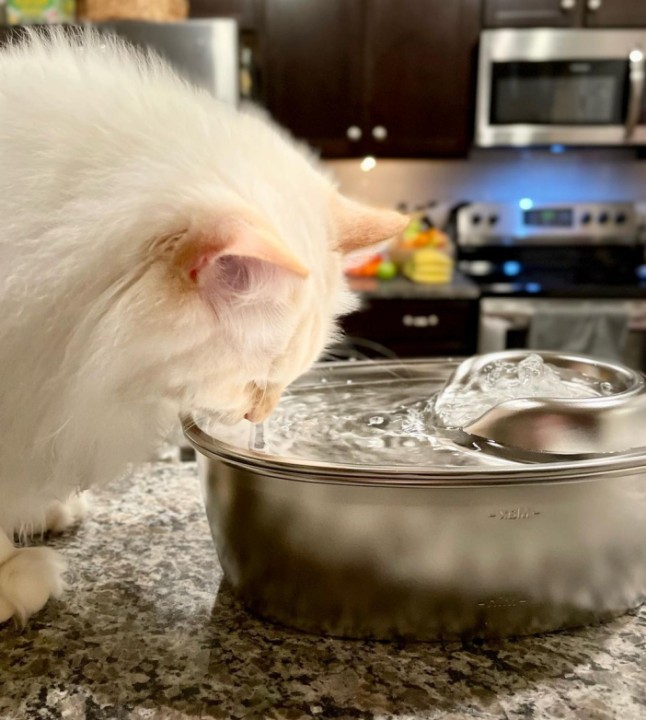 A cat drinking from a metal cat water fountain.