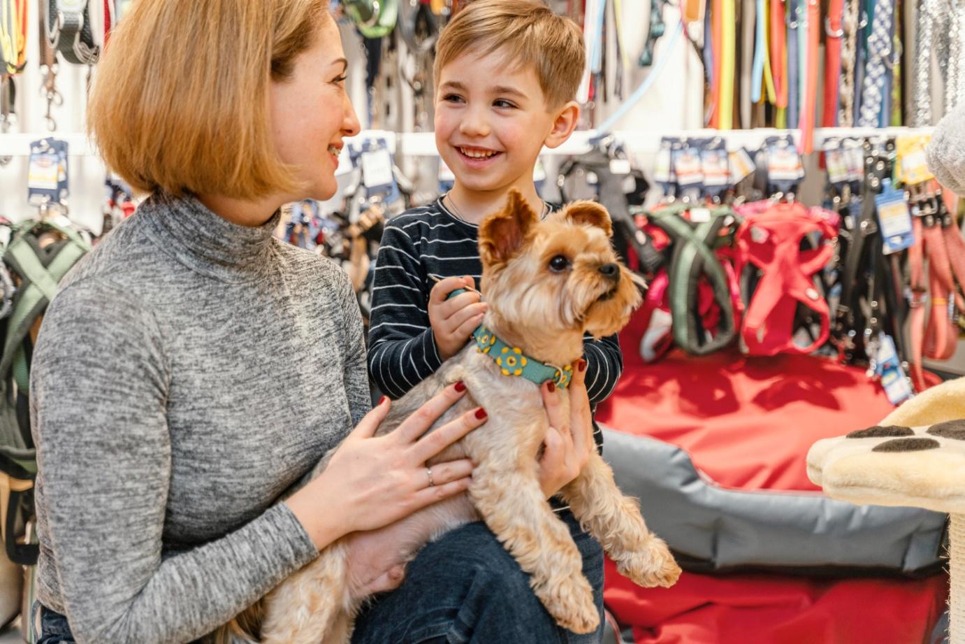 A mother and son at a store with their dog in the mother's lap. There are dog harnesses on the wall in the background.